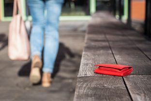 Que faire en cas de perte ou de vol de carte grise ?